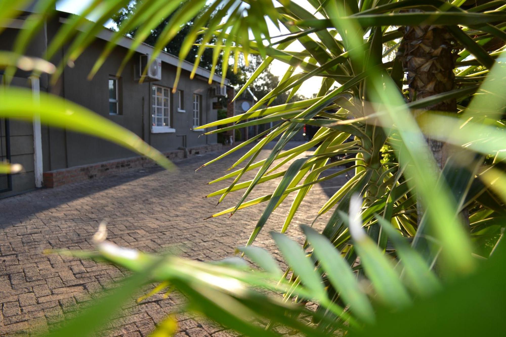 Travel North Guesthouse Tsumeb Exteriör bild